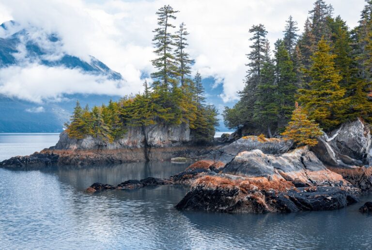 Kenai Sewer & Drain Services