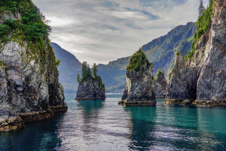 Kenai Peninsula Sewer & Drain Services