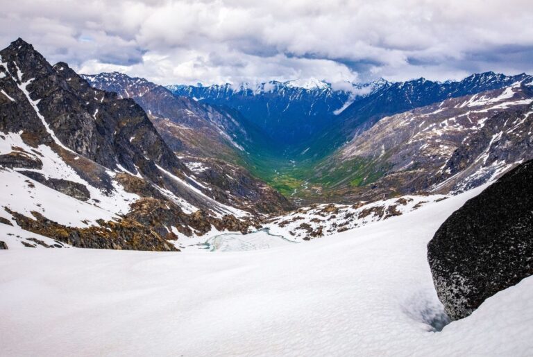 Palmer Sewer & Drain Services