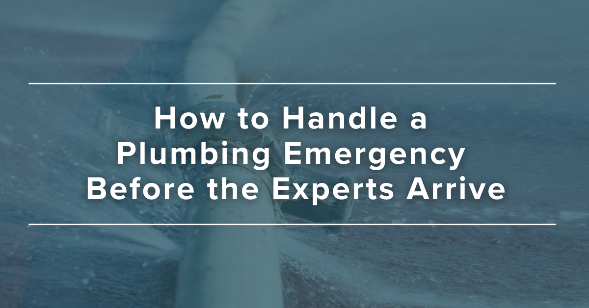 How to Handle a Plumbing Emergency Before the Experts Arrive